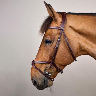 Briglia X-Fit New English Collection by Dy'on Marrone