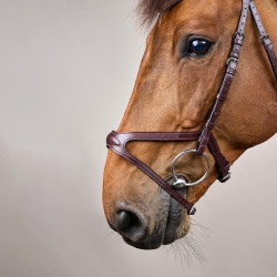 Briglia X-Fit New English Collection by Dy'on Marrone