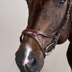 Briglia X-Fit Collezione US di Dy'on Marrone