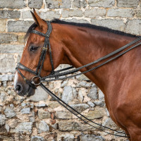 Redini tedesche Full Leather 1/2 D Collection by Dy'on Nero