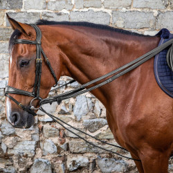 Redini tedesche in cuoio/nylon 5/8 D Collection by Dy'on Nero