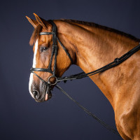 Redini tedesche in cuoio/nylon 5/8 New English Collection by Dy'on Nero