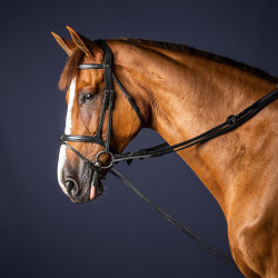 Redini tedesche in cuoio/nylon 5/8 New English Collection by Dy'on Nero