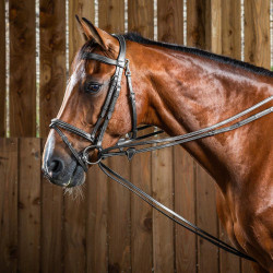 Redini tedesche Hunter 1/2 Working by Dy'on Nero