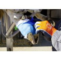 Rotolo di ovatta Rollino Kerbl Rotolo di ovatta Rollino Kerbl