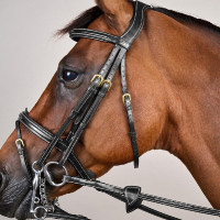 Briglia con Capezzina Combinata D Collection by Dy'on Nero