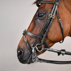 Briglia con Capezzina Combinata D Collection by Dy'on Nero Briglia con Capezzina Combinata D Collection by Dy'on Nero