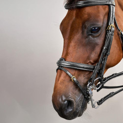 Briglia con Capezzina Combinata D Collection by Dy'on Nero Briglia con Capezzina Combinata D Collection by Dy'on Nero