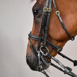 Briglia con Capezzina Combinata D Collection by Dy'on Nero Briglia con Capezzina Combinata D Collection by Dy'on Nero