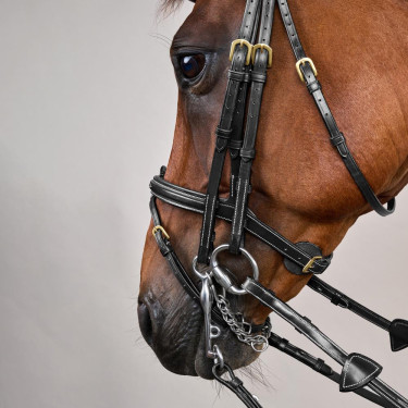 Briglia con Capezzina Combinata D Collection by Dy'on Nero Briglia con Capezzina Combinata D Collection by Dy'on Nero