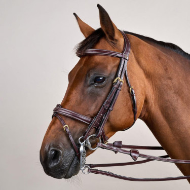 Briglia con Capezzina Combinata D Collection by Dy'on Marrone