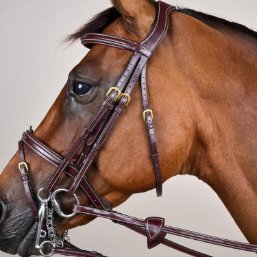 Briglia con Capezzina Combinata D Collection by Dy'on Marrone