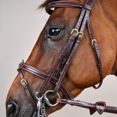 Briglia con Capezzina Combinata D Collection by Dy'on Marrone