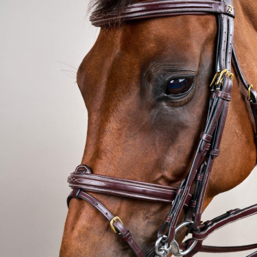 Briglia con Capezzina Combinata D Collection by Dy'on Marrone