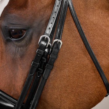 Briglia con Capezzina Francese Larga Mat Working By Dy'on Nero