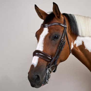 Briglia con Capezzina Francese Larga Mat Working By Dy'on Marrone