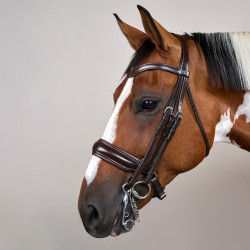 Briglia con Capezzina Francese Larga Mat Working By Dy'on Marrone