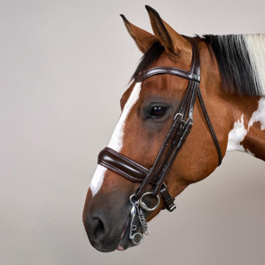 Briglia con Capezzina Francese Larga Mat Working By Dy'on Marrone