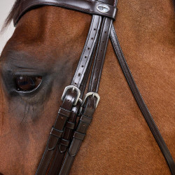 Briglia con Capezzina Francese Larga Mat Working By Dy'on Marrone