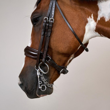 Briglia con Capezzina Francese Larga Mat Working By Dy'on Marrone