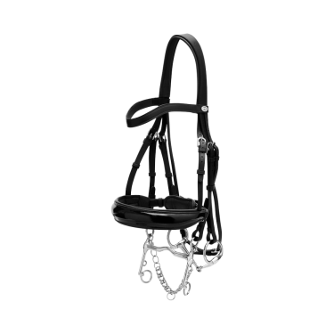 Briglia con Chiusura Francese Large Verniciata Working di Dy'on Nero