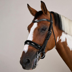 Briglia con Chiusura Francese Large Verniciata Working di Dy'on Nero