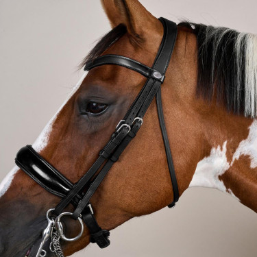 Briglia con Chiusura Francese Large Verniciata Working di Dy'on Nero