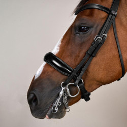 Briglia con Chiusura Francese Large Verniciata Working di Dy'on Nero