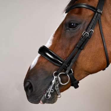 Briglia con Chiusura Francese Large Verniciata Working di Dy'on Nero