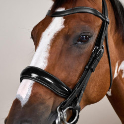 Briglia con Chiusura Francese Large Verniciata Working di Dy'on Nero