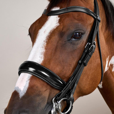 Briglia con Chiusura Francese Large Verniciata Working di Dy'on Nero