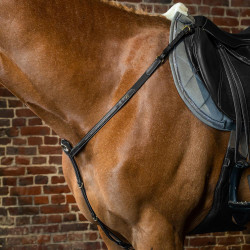 Pettorale D Collection by Dy'on Nero