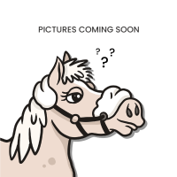 Martingala con Anelli Collezione US di Dy'on Nero