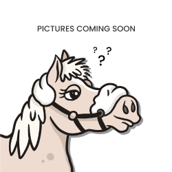 Martingala con Anelli Collezione US di Dy'on Nero