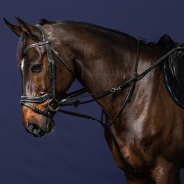 Enrenamento Howlett Working By Dy'on Nero