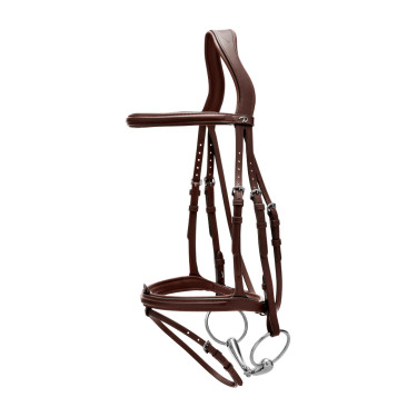 Briglia Capezzina Combinata Dy'on Collezione New English Marrone