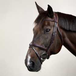 Briglia Capezzina Combinata Dy'on Collezione New English Marrone Briglia Capezzina Combinata Dy'on Collezione New English Marrone