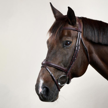 Briglia Capezzina Combinata Dy'on Collezione New English Marrone Briglia Capezzina Combinata Dy'on Collezione New English Marrone