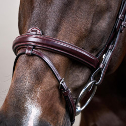 Briglia Capezzina Combinata Dy'on Collezione New English Marrone Briglia Capezzina Combinata Dy'on Collezione New English Marrone