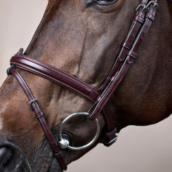 Briglia Capezzina Combinata Dy'on Collezione New English Marrone Briglia Capezzina Combinata Dy'on Collezione New English Marrone