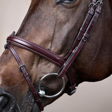 Briglia Capezzina Combinata Dy'on Collezione New English Marrone Briglia Capezzina Combinata Dy'on Collezione New English Marrone