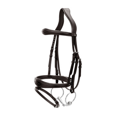 Briglia Capezzina Combinata Anatomica Dy'on Collezione New English Nero