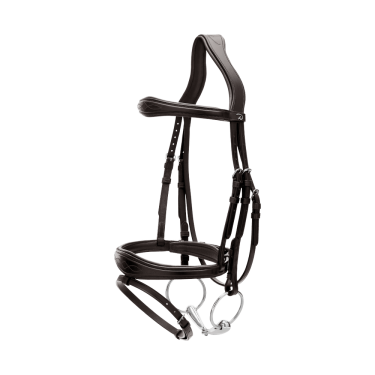 Briglia Capezzina Combinata Anatomica Dy'on Collezione New English Nero