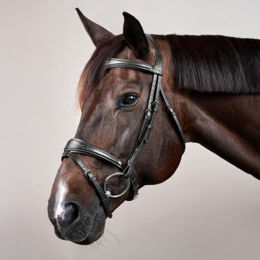 Briglia Capezzina Combinata Anatomica Dy'on Collezione New English Nero