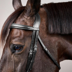 Briglia Capezzina Combinata Anatomica Dy'on Collezione New English Nero