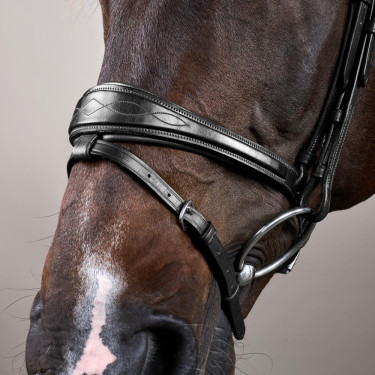 Briglia Capezzina Combinata Anatomica Dy'on Collezione New English Nero