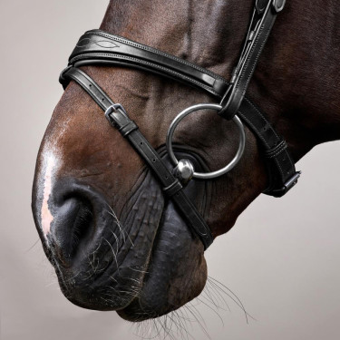 Briglia Capezzina Combinata Anatomica Dy'on Collezione New English Nero