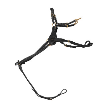 Pettorale a 5 punti con elastici D Collection Dy'on Nero