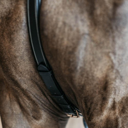 Pettorale a 5 punti con elastici D Collection Dy'on Nero