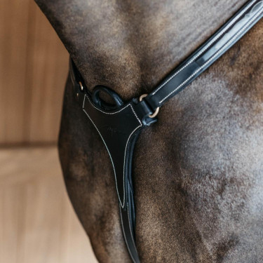 Pettorale a 5 punti con elastici D Collection Dy'on Nero